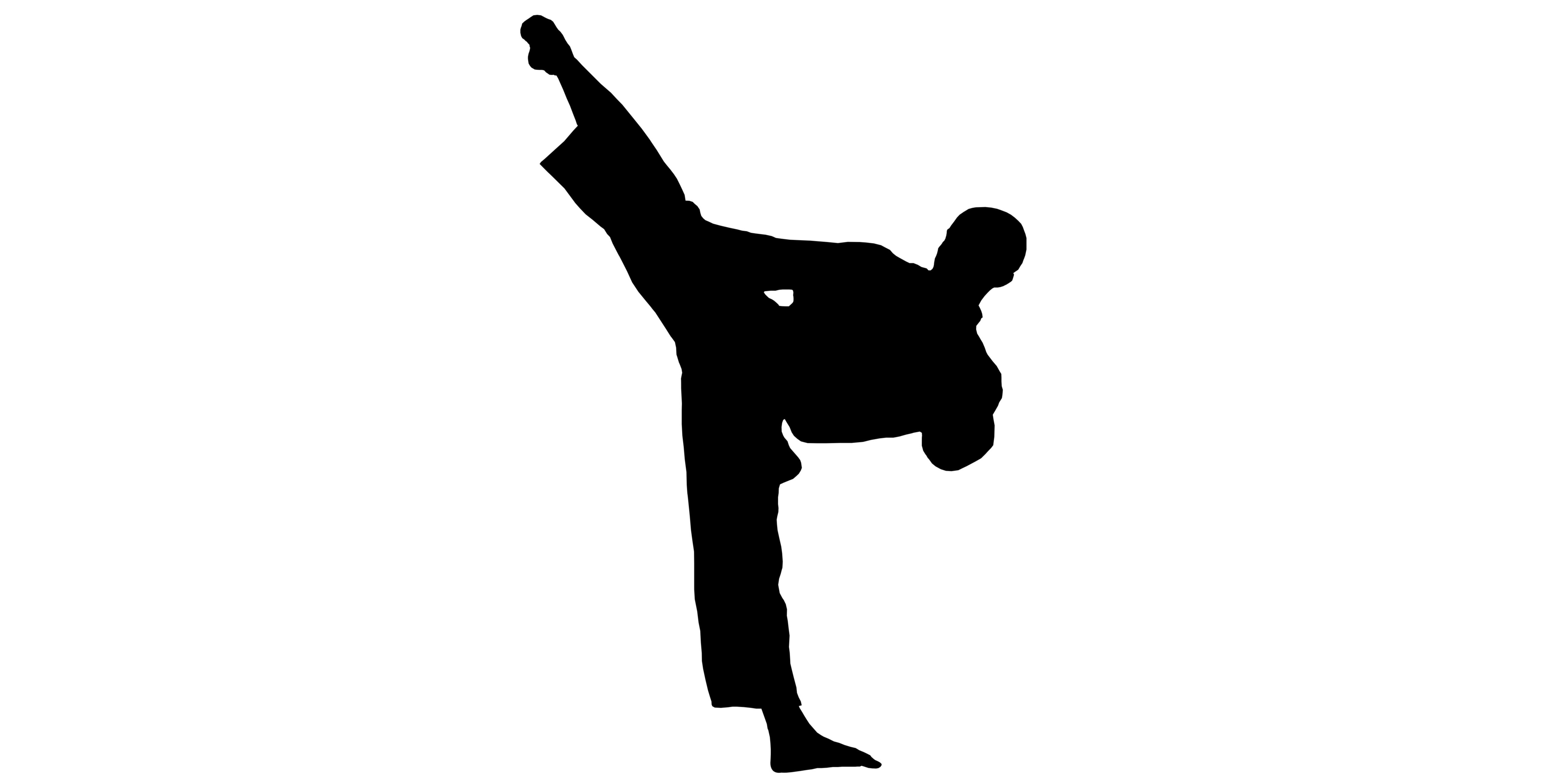 karate2