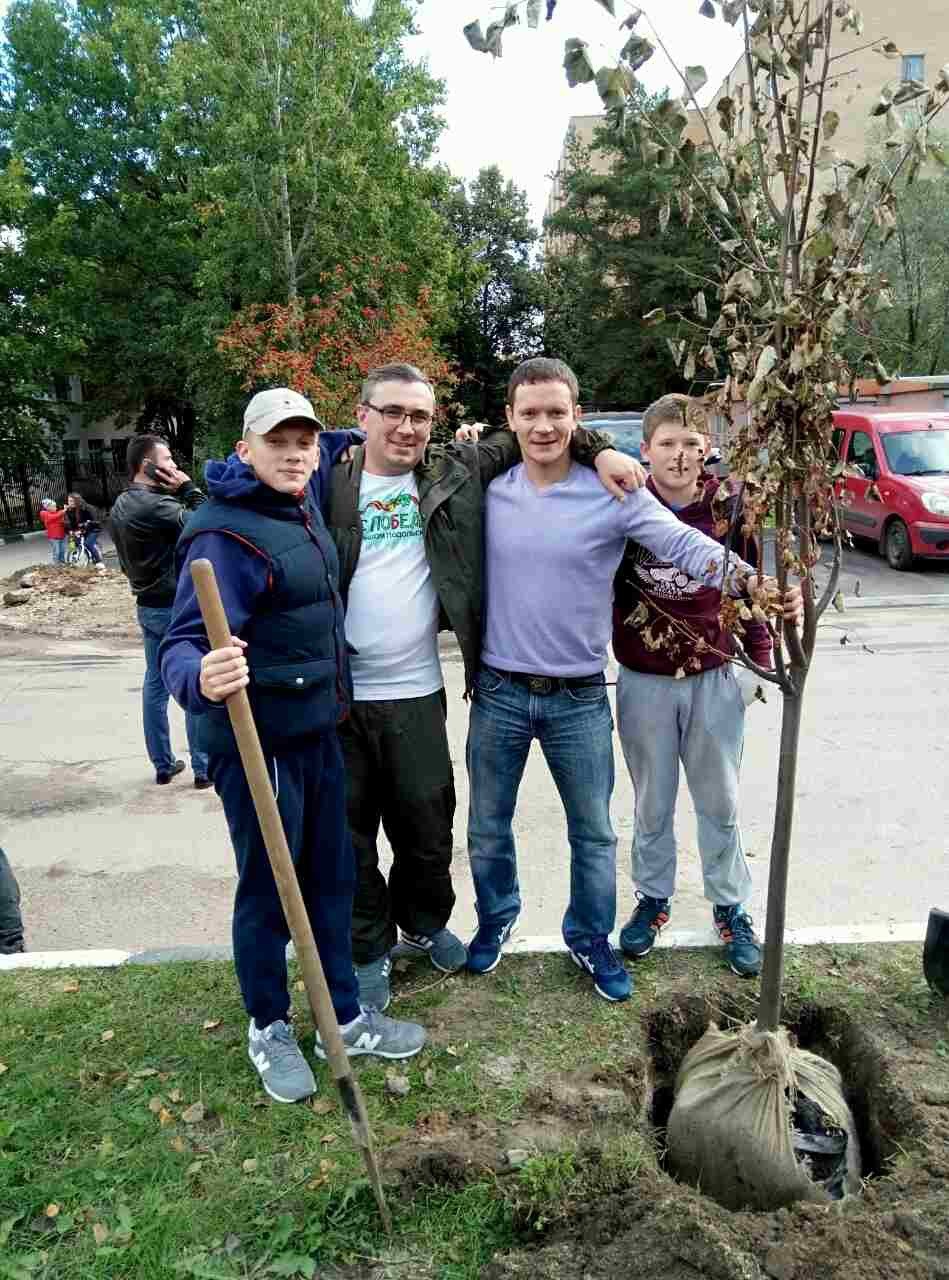 дерево2